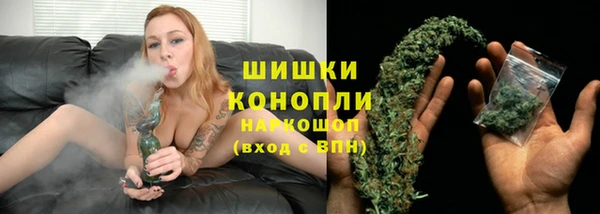 сатива Сафоново