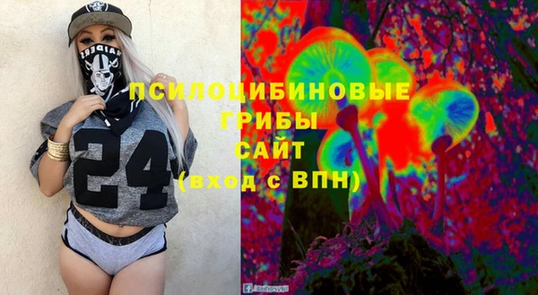 гидропоника Белокуриха