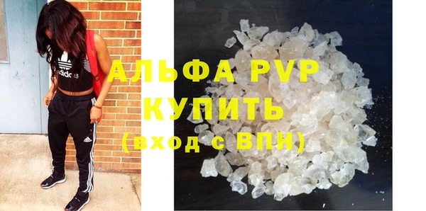 гидропоника Белокуриха