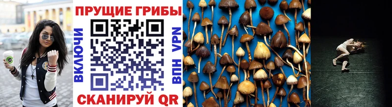МЕГА   Верхняя Тура  Галлюциногенные грибы мухоморы 