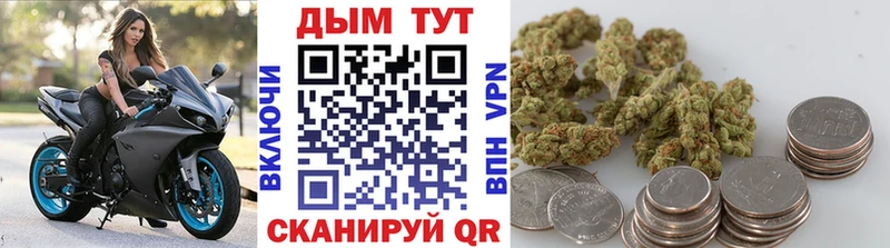 дарнет шоп  Верхняя Тура  Бошки Шишки AK-47 